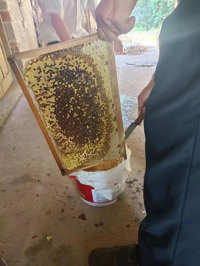 湖南蜂蜜益阳农家土蜂蜜无添加量大货源充足欢迎来电咨询