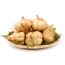 广西凉薯9斤新鲜现挖即食脆甜白地瓜沙葛地萝卜蔬菜一件代发