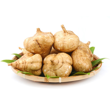 广西凉薯9斤新鲜现挖即食脆甜白地瓜沙葛地萝卜蔬菜一件代发