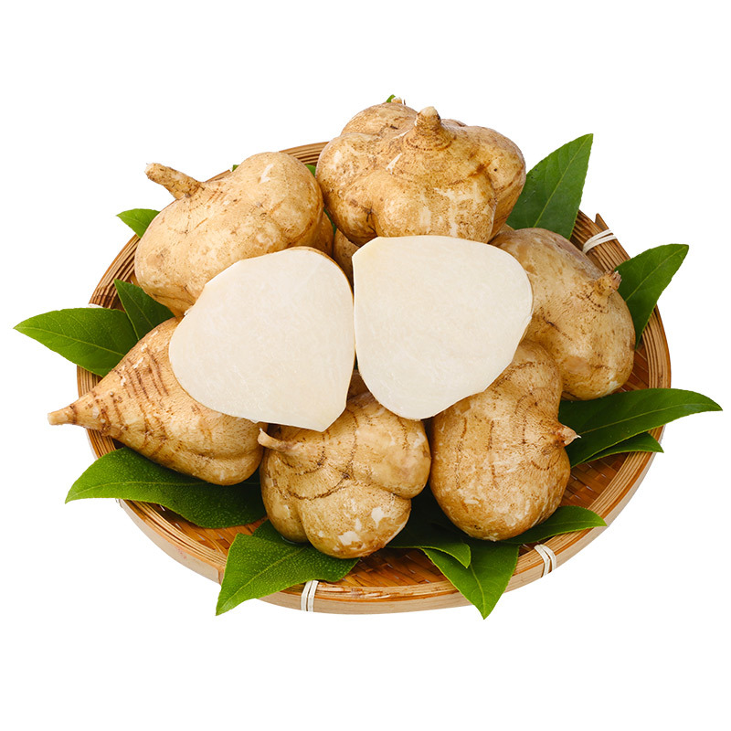 广西凉薯9斤新鲜现挖即食脆甜白地瓜沙葛地萝卜蔬菜一件代发