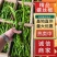 陕西省榆林市定边精品螺丝椒，精准报价，支持视频看货