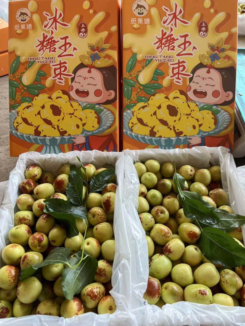 大荔冬枣产地直发实力供应均可落地配一件代发欢迎对接合作
