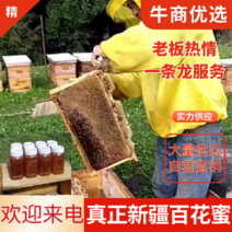 【精品蜂蜜】新疆百花蜜货源充足产地直发价格欢迎咨询
