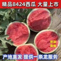 【西瓜】甘肃8424西瓜包熟包甜大量供应可视频