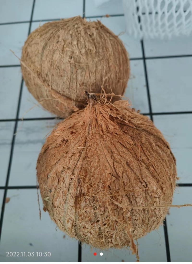 海南琼海市毛椰产地直销质量保障量大从优欢迎订购