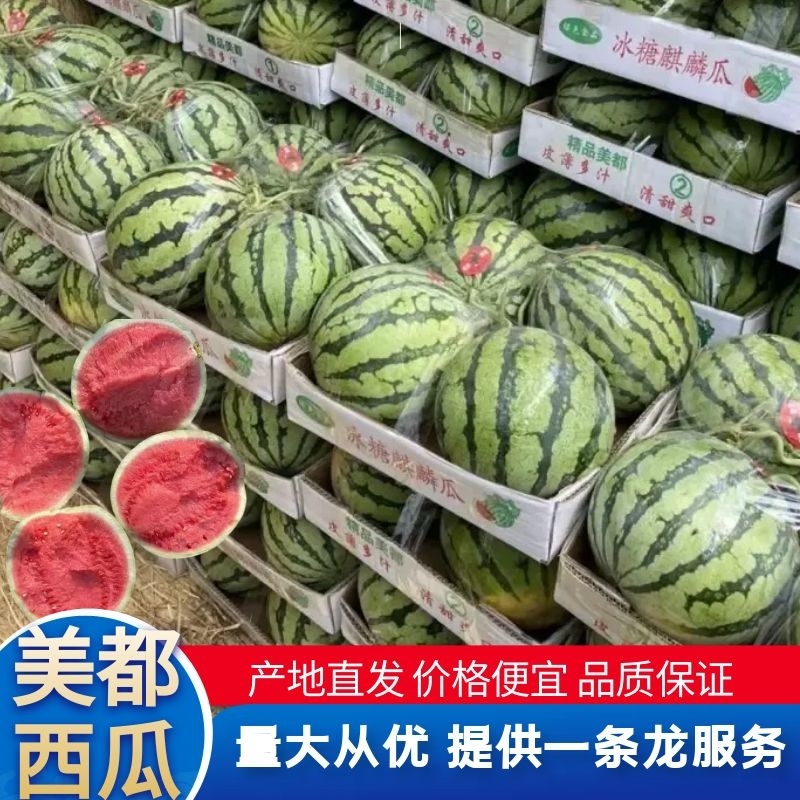 甘肃美都西瓜甘肃西瓜皮薄多汁可视频看货品质保证