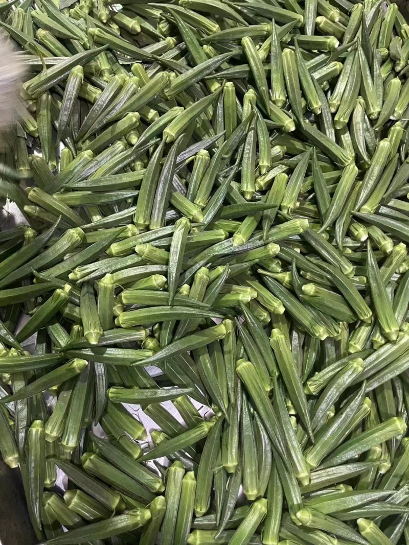 【实力推荐】福建本地精品黄秋葵大量上市品质保障欢迎来电
