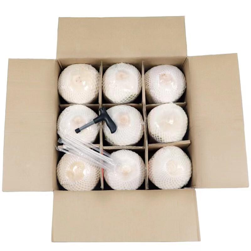 精品9宫格椰青礼盒装长期有货支持一件代发社区团购档口批发