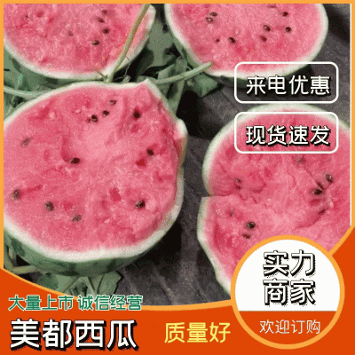 美都西瓜开封西瓜，可对接商超常年代收代发保证质量诚信经营