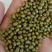 【绿豆】河北精品明绿豆大量有货质量保证欢迎采购
