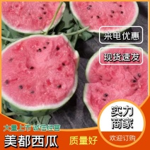 美都8424西瓜常年代收代发全国保证质量生瓜包赔对接商超