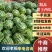 精品陕西渭南甜王西瓜，大量上市，基地直供一手货源，品质保证