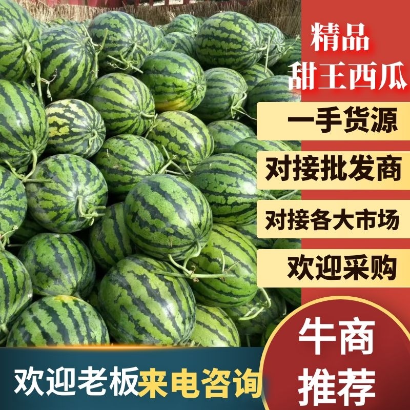 精品陕西渭南甜王西瓜，大量上市，基地直供一手货源，品质保证
