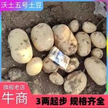 【实力】沃土产地一手货源，有大基地，，全国各地都可发货。