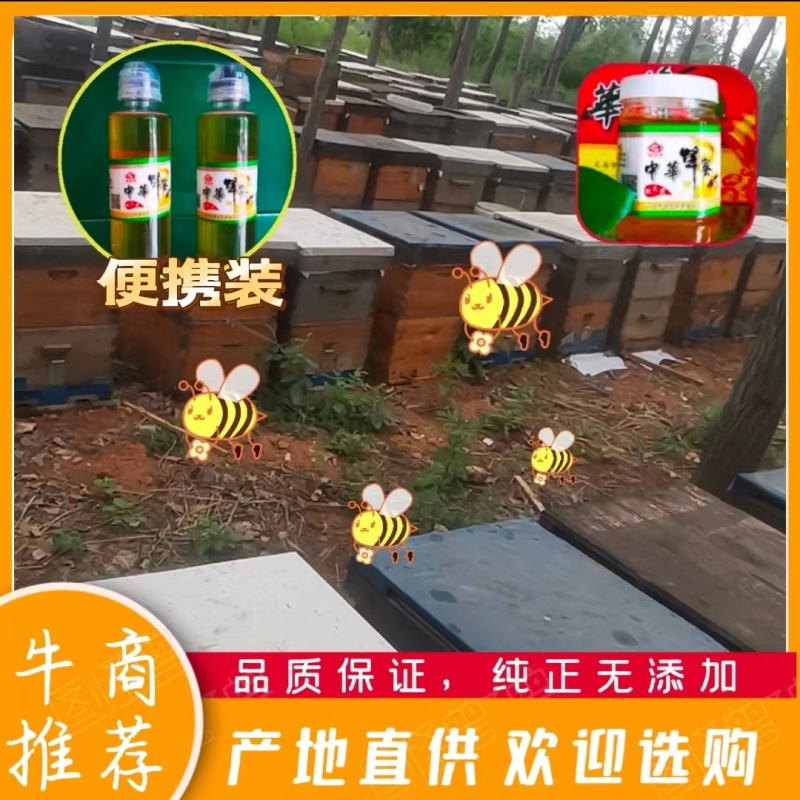 土蜂蜜中华蜂蜜产地直发一手货源品质保证来电洽谈合作