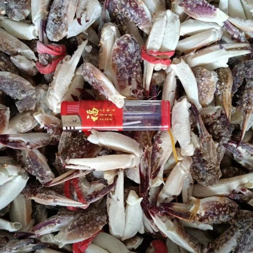 梭子蟹钳中号肉质饱满无冰衣19斤/箱