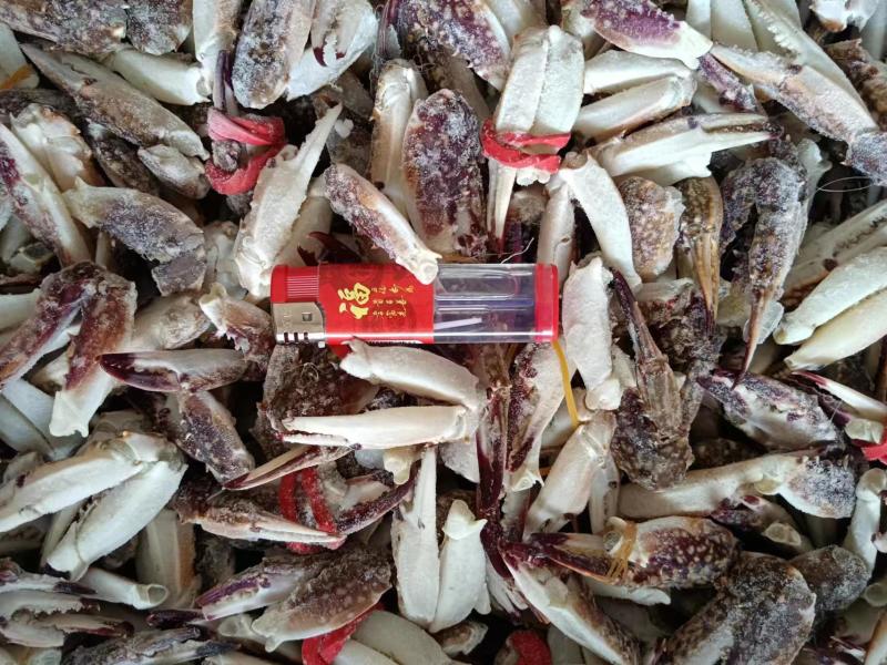 梭子蟹钳中号肉质饱满无冰衣19斤/箱
