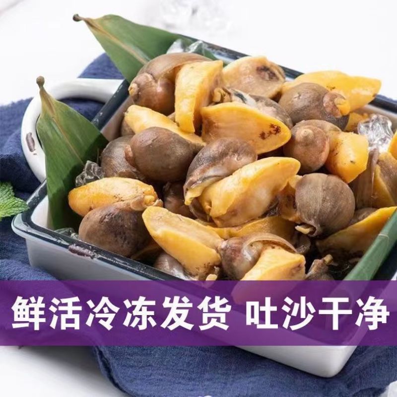 冷冻鲍螺老婆脚