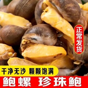冷冻鲍螺老婆脚