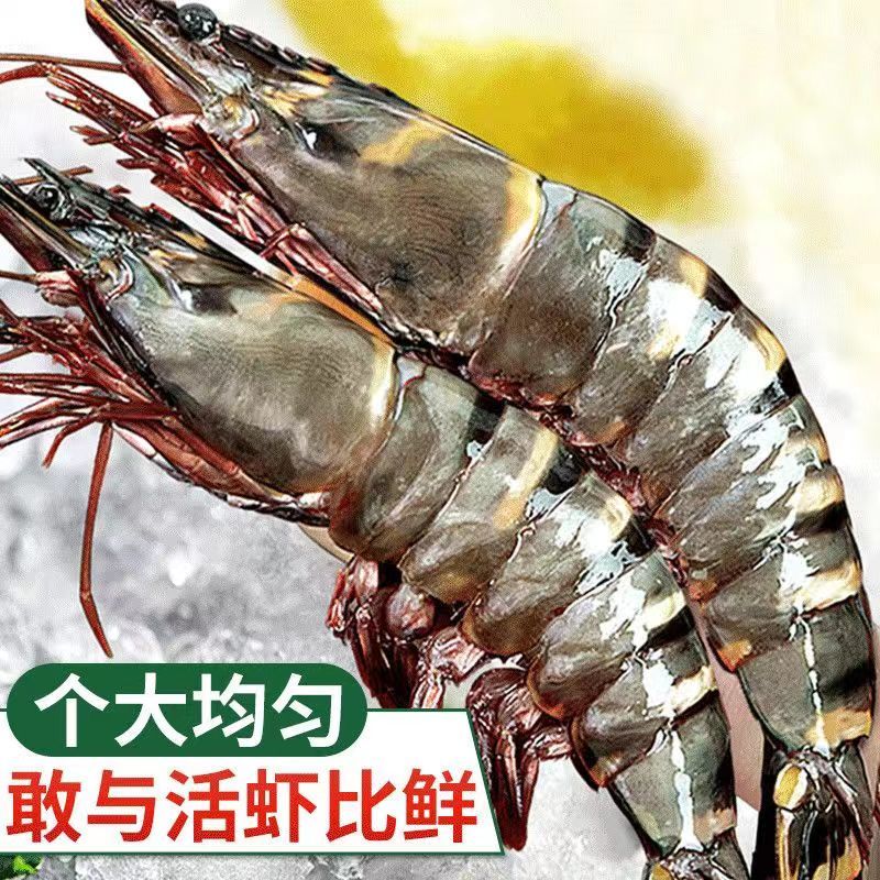 黑虎虾冷冻老虎虾