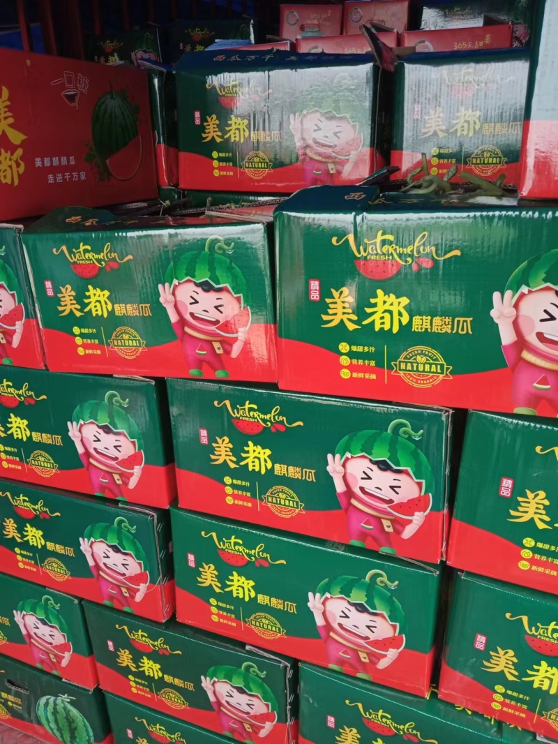 美都西瓜/薄皮大红瓤基地直供市场商超电商