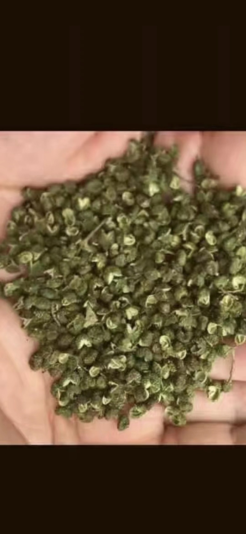 云南昭通本地花椒万亩基地一手货源视频看货价格详谈
