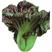 紫红青菜种籽紫叶青菜芥菜宽叶宽帮青菜腌制酸菜春秋冬蔬菜种