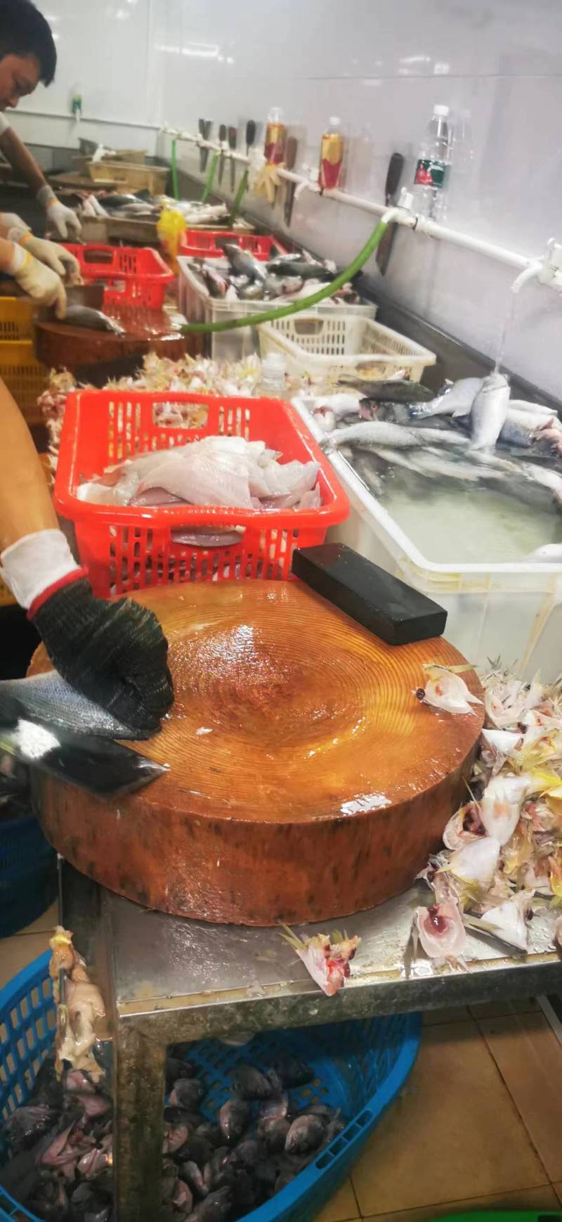 【厂家直供】广东佛山新鲜鲈鱼柳直供对接商超酒店欢迎来电