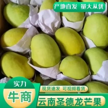 云南圣德龙芒果大量上市产地直发品质保证量大从优