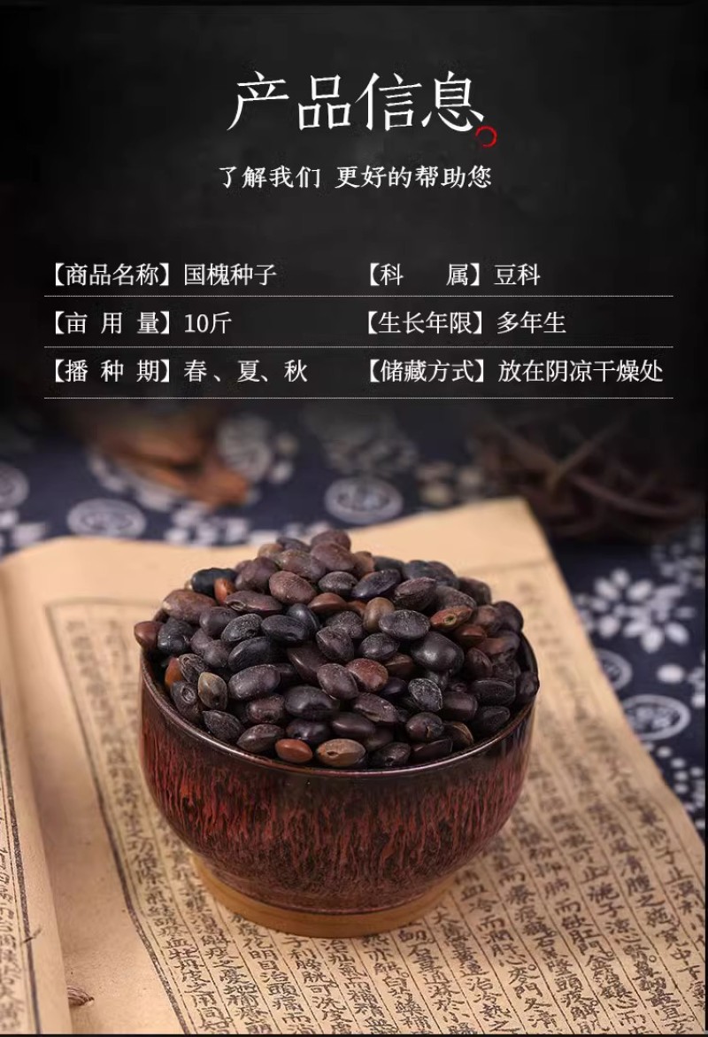 速生国槐种子工程绿化林木种子