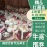 特级云南西双版纳红菇【大红菌】颜色新鲜形状好看