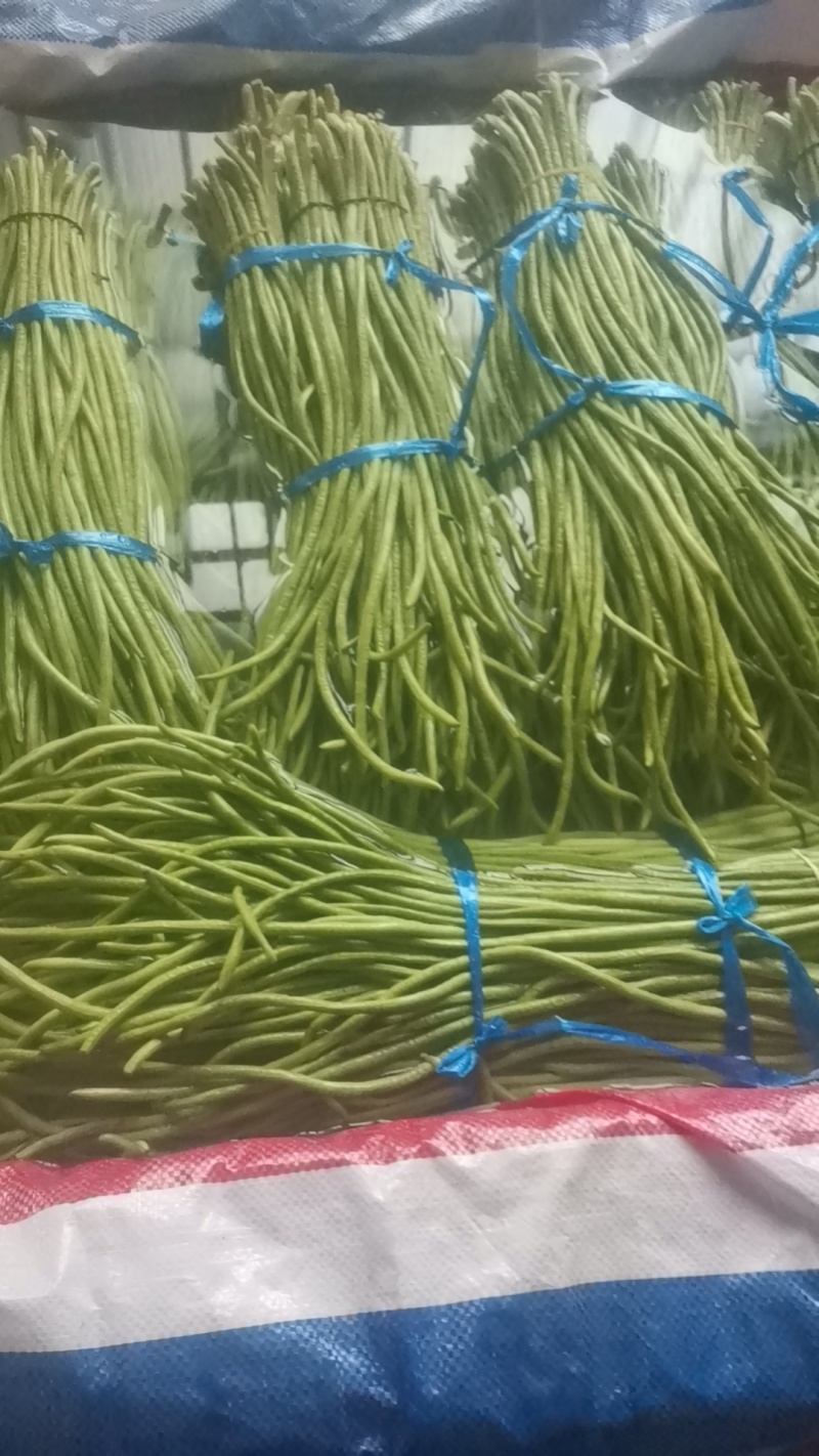 湖北长豆角青条豆角实力代办品质好量大从优市场商超电商