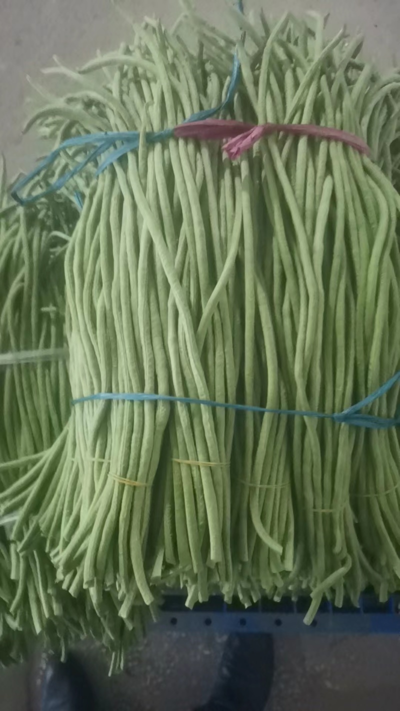 湖北长豆角青条豆角实力代办品质好量大从优市场商超电商