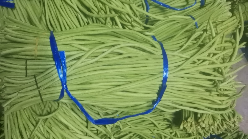 湖北长豆角青条豆角实力代办品质好量大从优市场商超电商