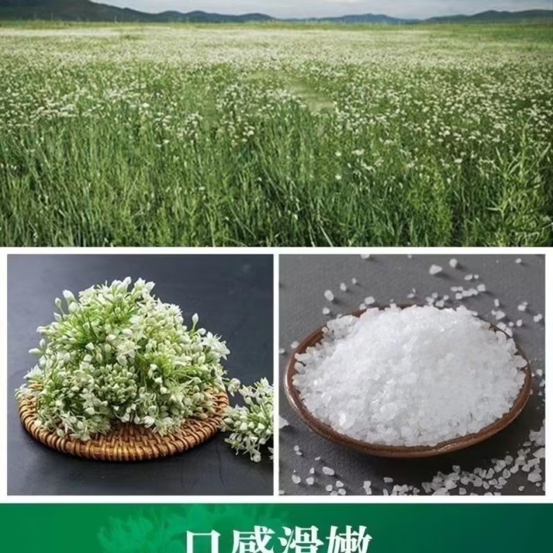 内蒙古呼伦贝尔野生韭菜花酱是呼伦贝尔大草原上特产。