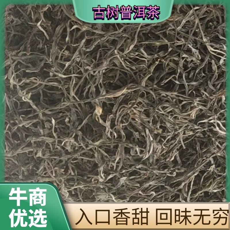 【古树普洱茶】入口香甜回昧无穷原产地发货欢迎咨询