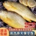 东海大黄鱼