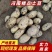 河南开封新土豆上市，通许土豆颜色好，对接商超市场批发