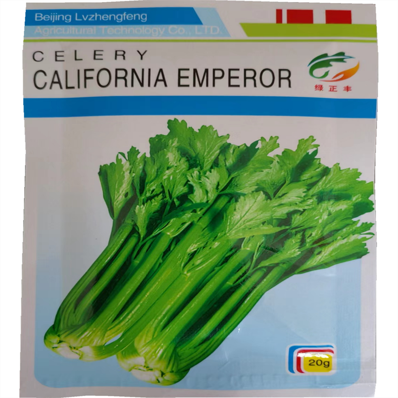 美国加州王西芹种子进口基地生长旺盛高产耐运性好香芹种子