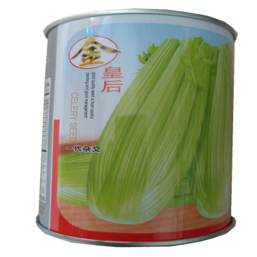 金皇后西芹种子100g黄嫩芹菜种子抗病早熟纯度高青