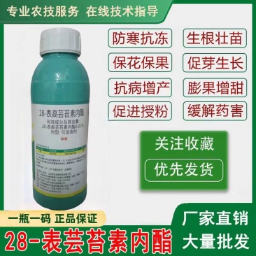 芸苔素内脂酯植物生长调节剂果树保花保果产解药害叶面肥农药