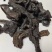 肉苁蓉新疆肉苁蓉片产地直供量大从优