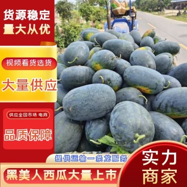 湖北宜城黑美人西瓜大量上市中保质保量真实报价现货现发
