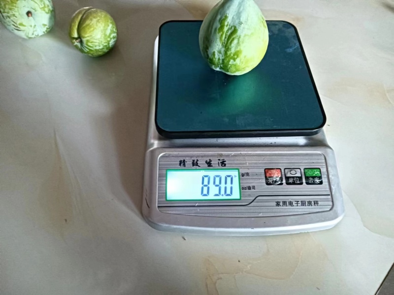 【奈李李子】广西李子产地现摘现发可视频看货量大从优