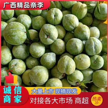 【奈李李子】广西李子产地现摘现发可视频看货量大从优