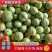 【奈李李子】广西李子产地现摘现发可视频看货量大从优