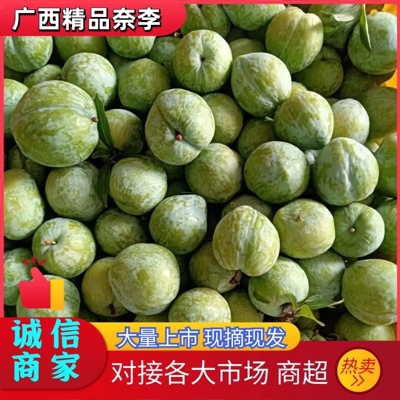 【奈李李子】广西李子产地现摘现发可视频看货量大从优