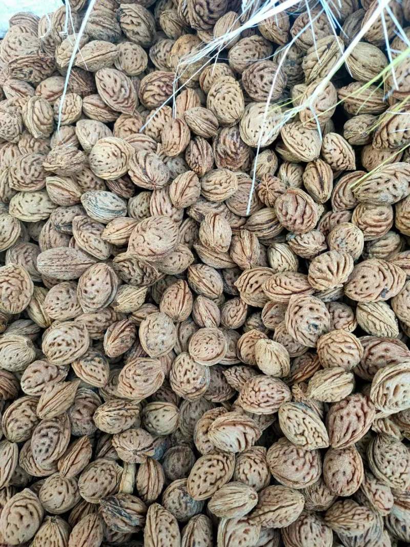 河北精品桃仁去皮桃仁产地一手货源质量保证欢迎来电