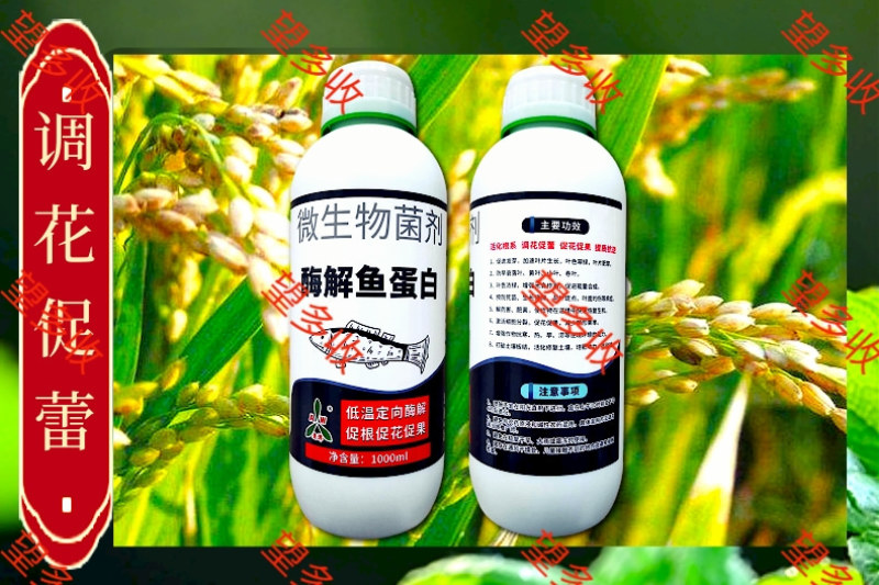 奥丰酶解鱼蛋白叶面肥生根壮秧膨果抗重茬防病果树蔬菜水溶肥