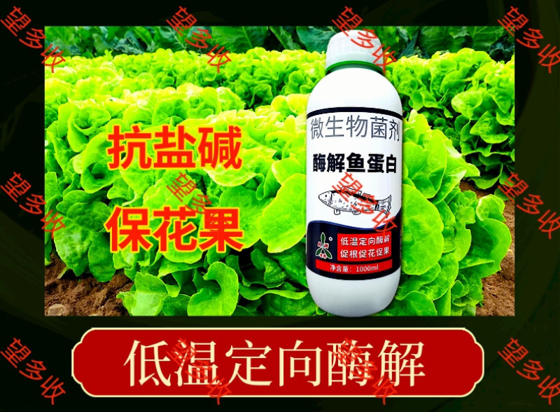 奥丰酶解鱼蛋白叶面肥生根壮秧膨果抗重茬防病果树蔬菜水溶肥